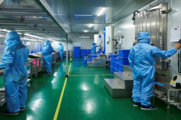Glass Screen Protector Factory