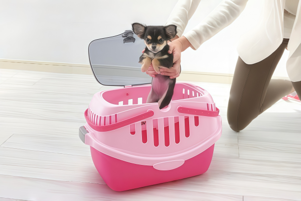 成形製品